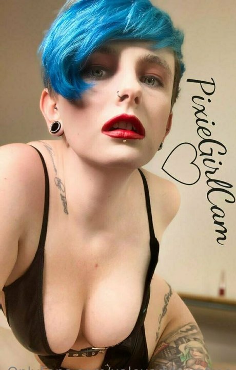 xalexaddamsfree star exclusive img