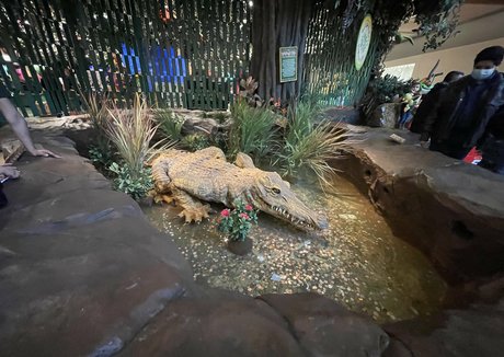 mistylovelace star hot images