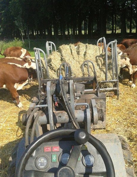 balls onlyfans free sexy galleries