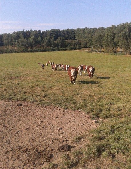 anal xxx onlyfans beautiful xxx pic