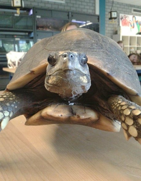 black xxx onlyfans pretty image