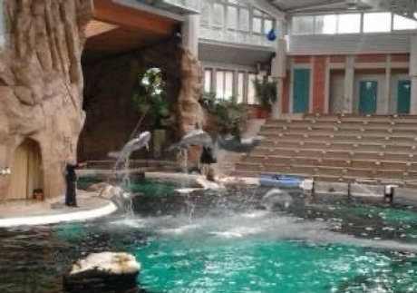 fat pussy onlyfans pornographic images