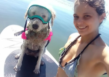 doitwithdaisy high quality star pictures