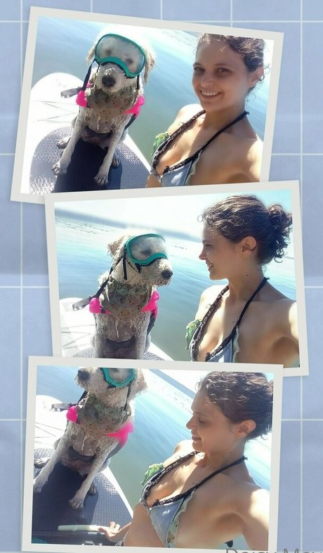 doitwithdaisy nice pornstar photo