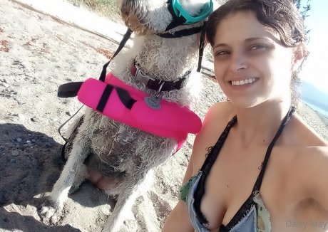 doitwithdaisy nice star photos