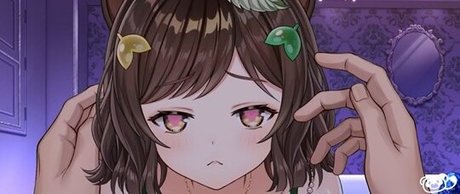 honda poko star perfect photos