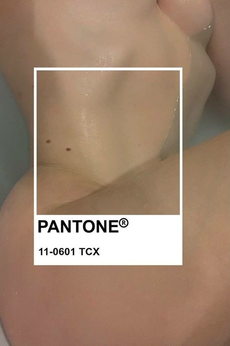 YuStef porn star picture