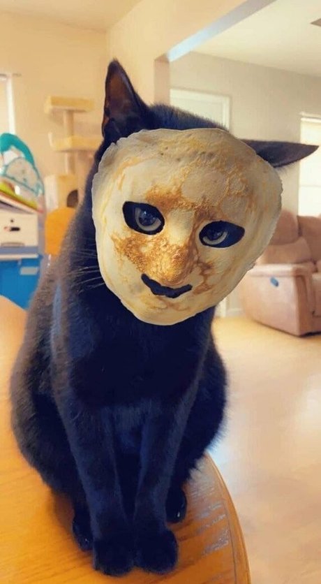 Oheekolts model nudes image