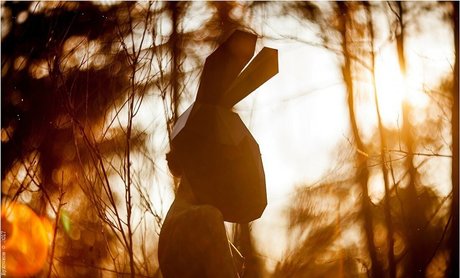 Oheekolts porn star pictures