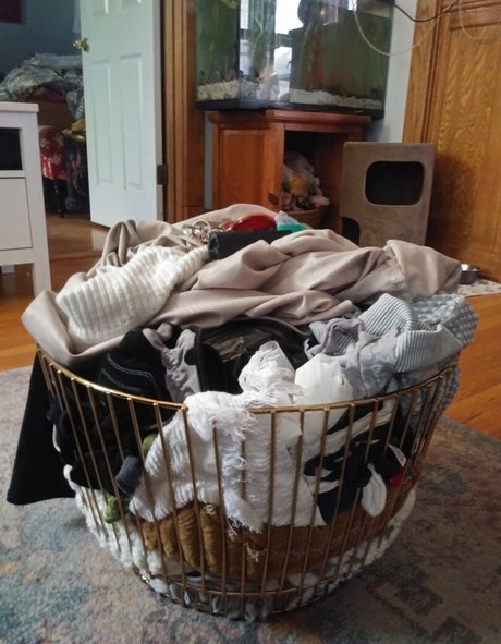 chloe loves attention porn star images