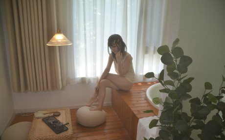 Taoliangazhai star high quality galleries