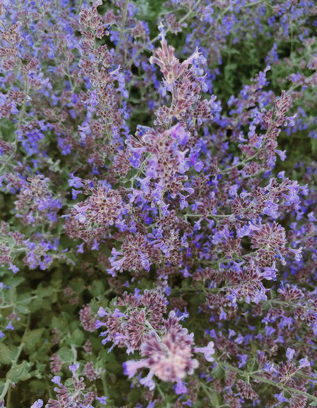 erotic onlyfans free naked photo