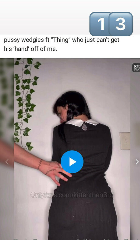 kittenthen3rd model art picture