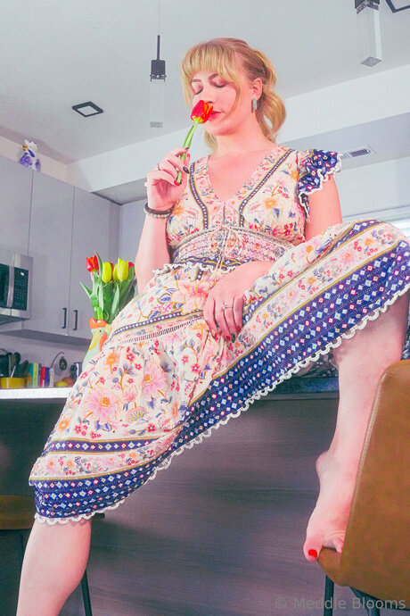 meddleblooms adult star archive