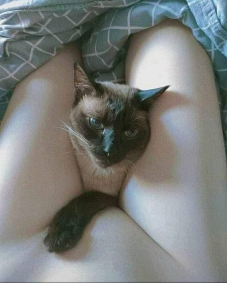 Yuusachii model nudes photos