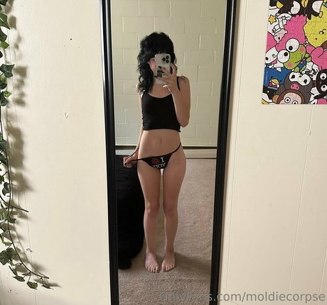 moldiecorpse Profile photo