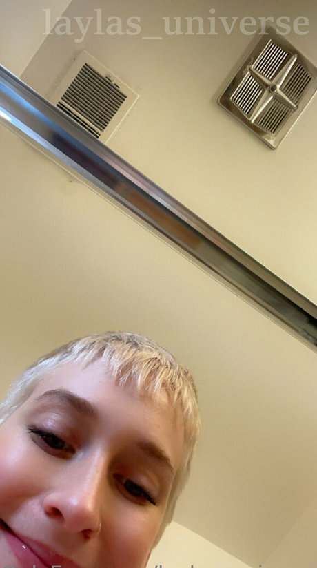 laylas universe free perfect star image