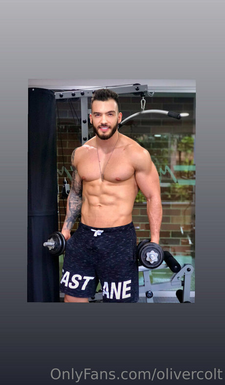 olivercolt star xxx galleries