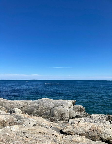 rckyshow model top gallery