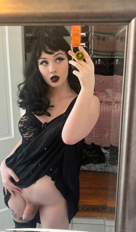 seanslimed star exclusive gallery