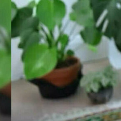 jaybaesun star sexy photo