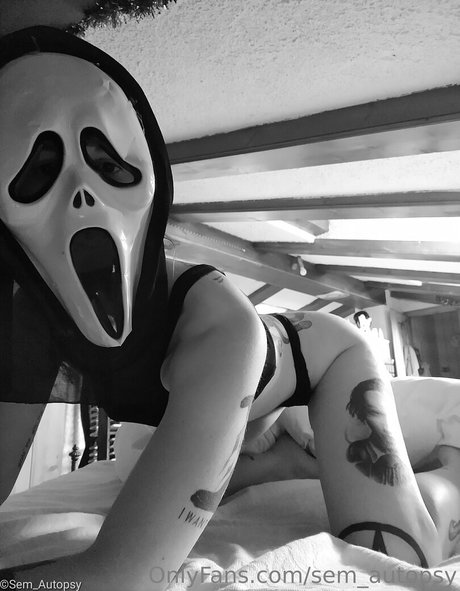 sem autopsy best model pictures