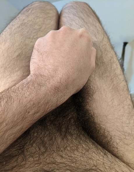 hairhound star beautiful galleries