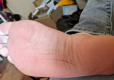 hairhound model adult gallery