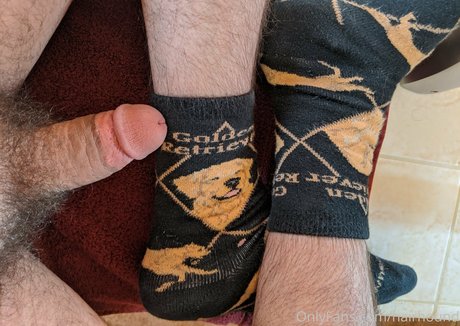 hairhound model adult photos