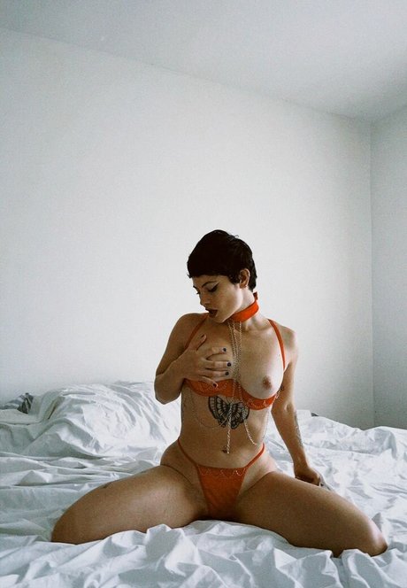 Marceli Cardozo xxx pornstar archive