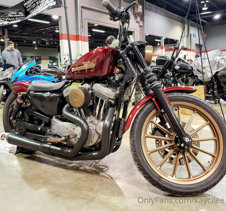 kaycilee hd star archive