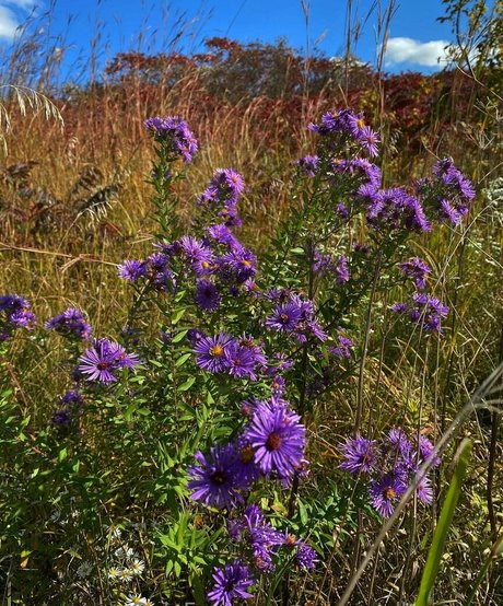 xxsacredhoneyxx model sex img