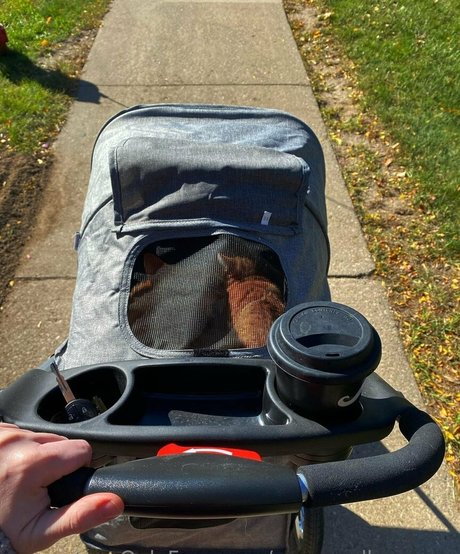 big black ass onlyfans hot nude pics