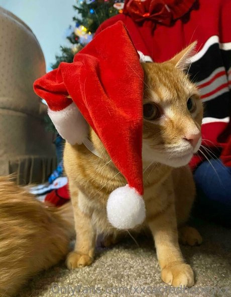 xxsacredhoneyxx hd pornstar pics