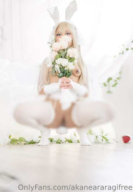 akaneararagifree xxx model image