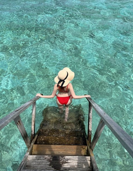 vleafnin art star img