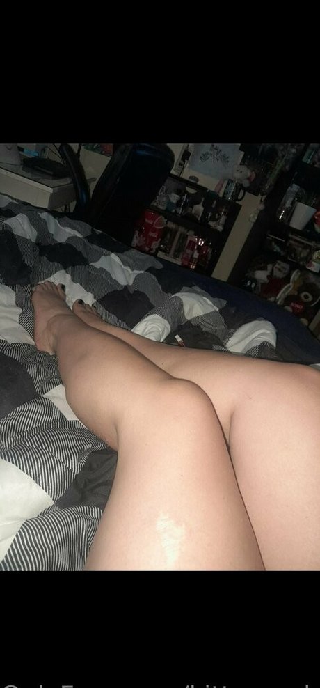 kitten onlyfans com perfect pornstar archive