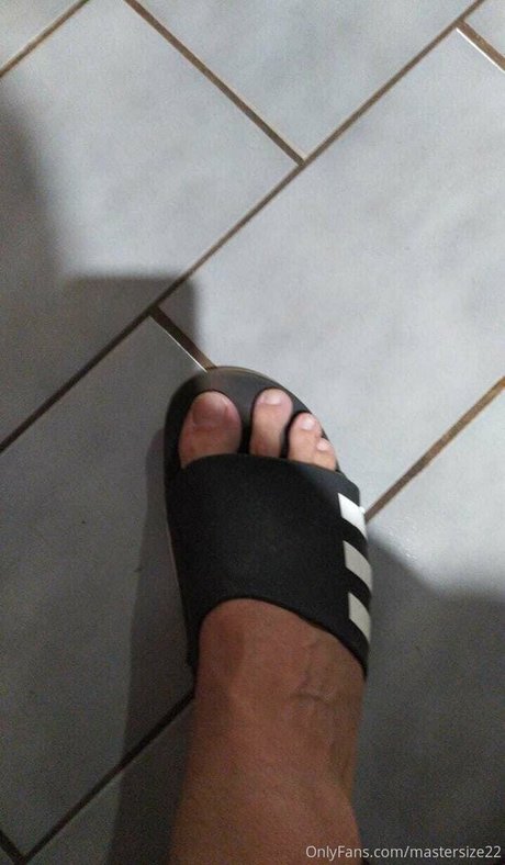 mastersize22 art star photos