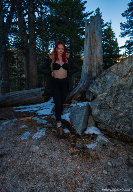 sjxoxofree pornstar img