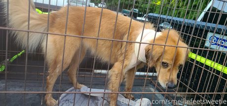 smelliefeetsweetie model pretty img