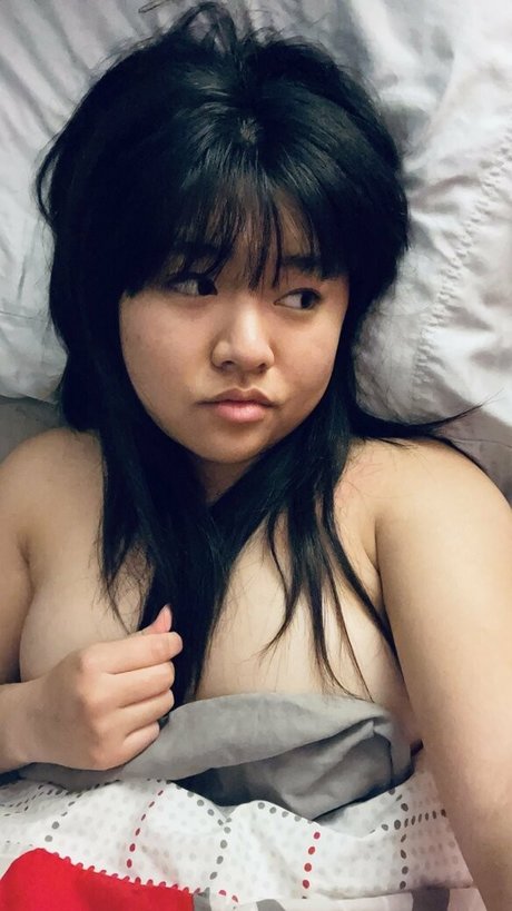 toetalwreck star porn archive