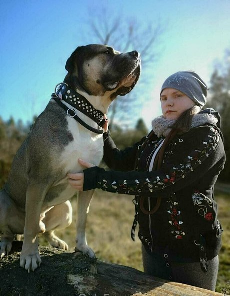 nidagonehot pornstar hd picture