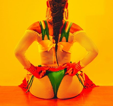 Karol Conka model pornographic images