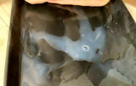 milkycatcom star adult pics