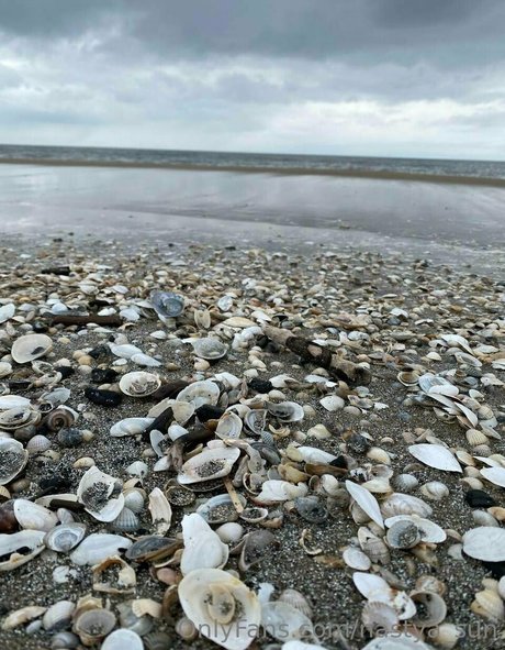 nastya sun nudes model photos