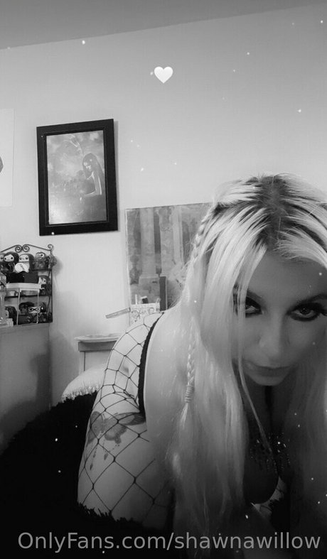 shawnawillow perfect model picture