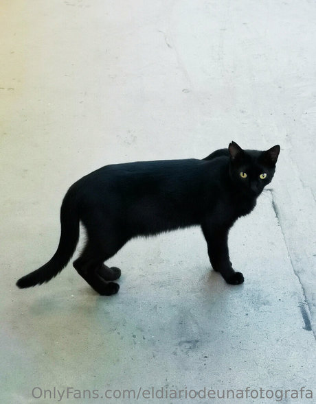 eldiariodeunafotografa perfect pornstar photos