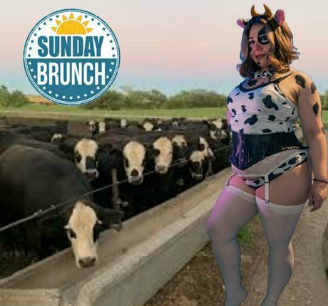 couchqueenie beautiful star gallery