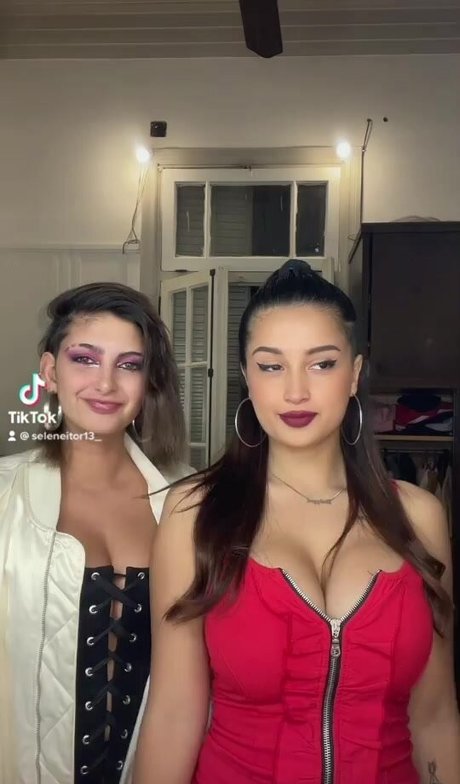 Seleneitor model top image