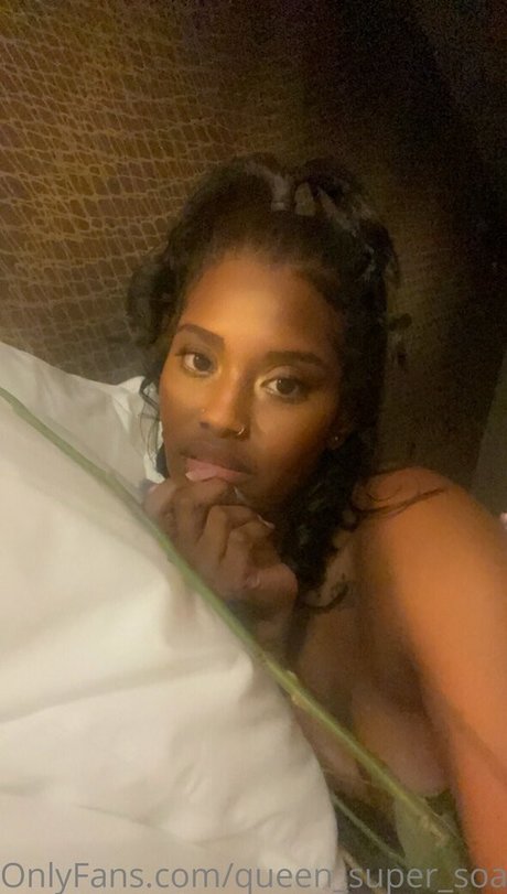 queen super soaker free model img